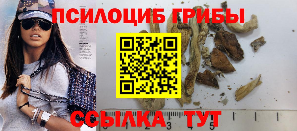 Мурино  Галлюциногенные грибы мицелий  наркотики  Галлюциногенные грибы Cubensis  Вход с VPN 